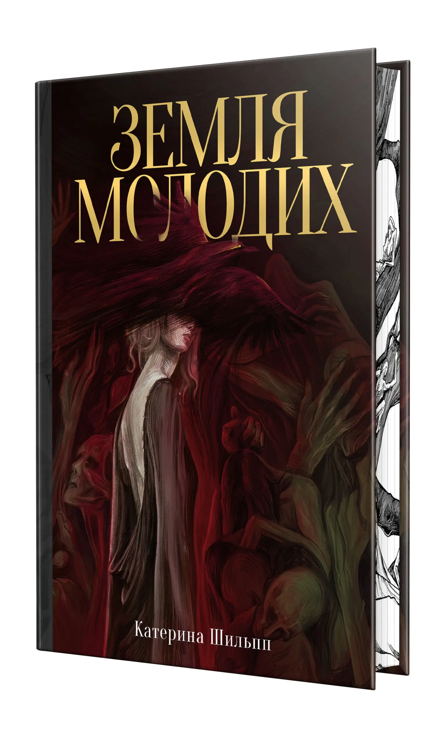 Cover of (Гаражний розпродаж) Земля молодих