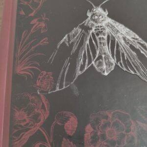 Первісне зло. Частина 1 | Серафима Біла | видавництво Уроборос